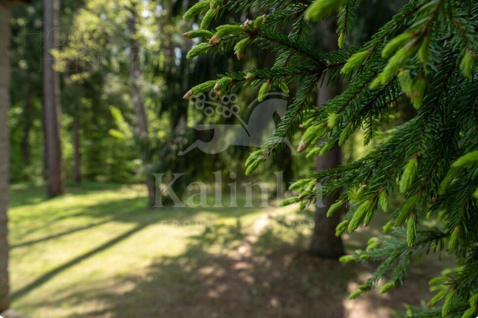 Участок 25.8 сот.