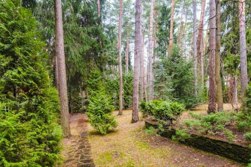 Участок 25.8 сот.