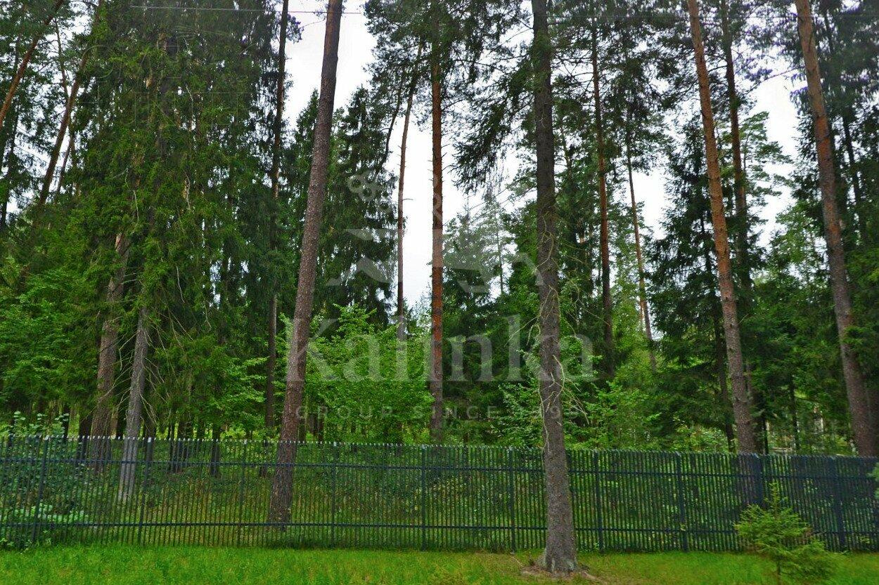 Участок 44.52 сот.