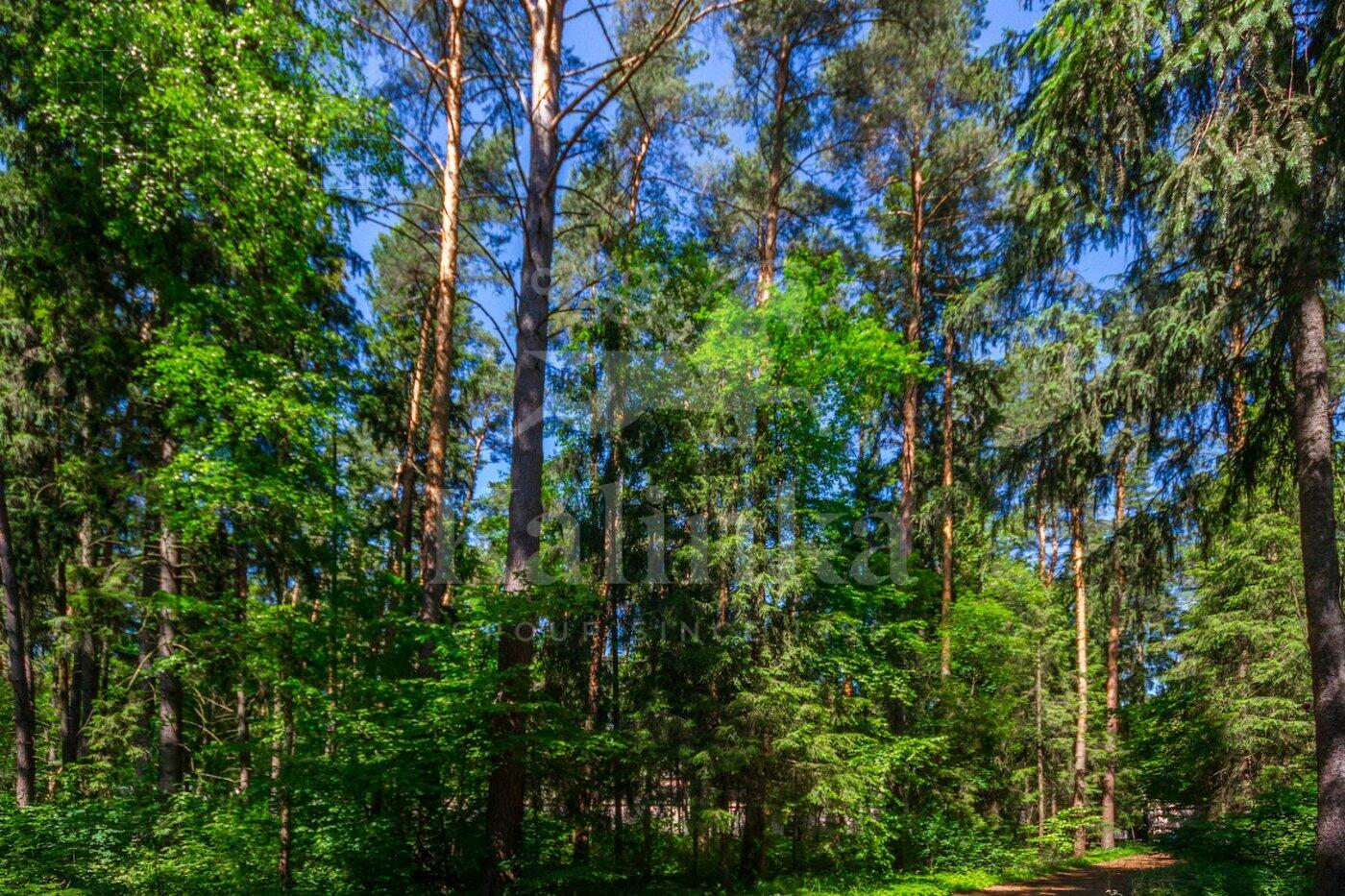 Участок 520 сот. в охраняемом поселке