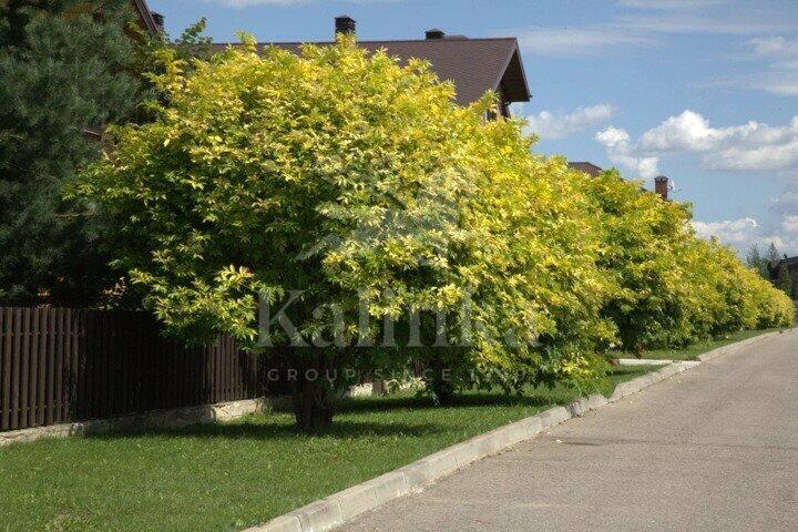 Участок 12.99 сот. в охраняемом поселке