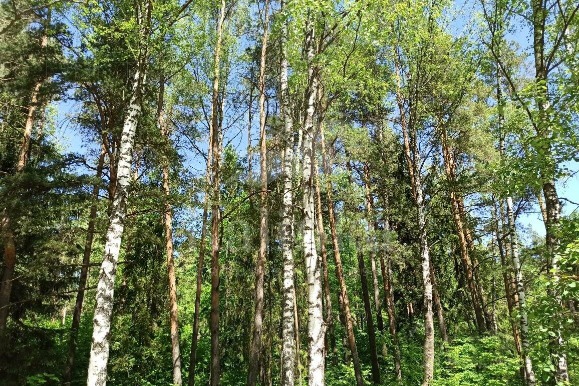 Участок 23 сот. в охраняемом поселке