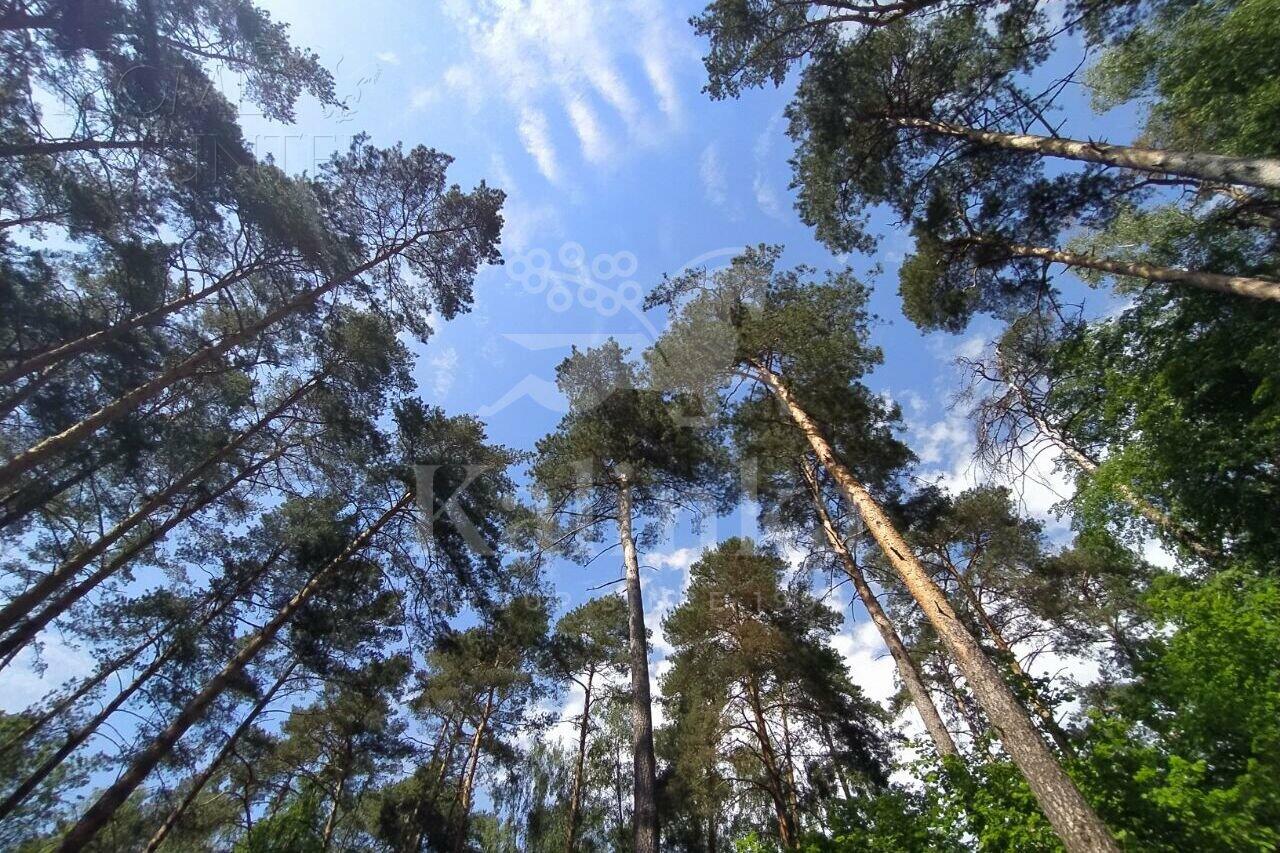 Участок 31.5 сот. в охраняемом поселке