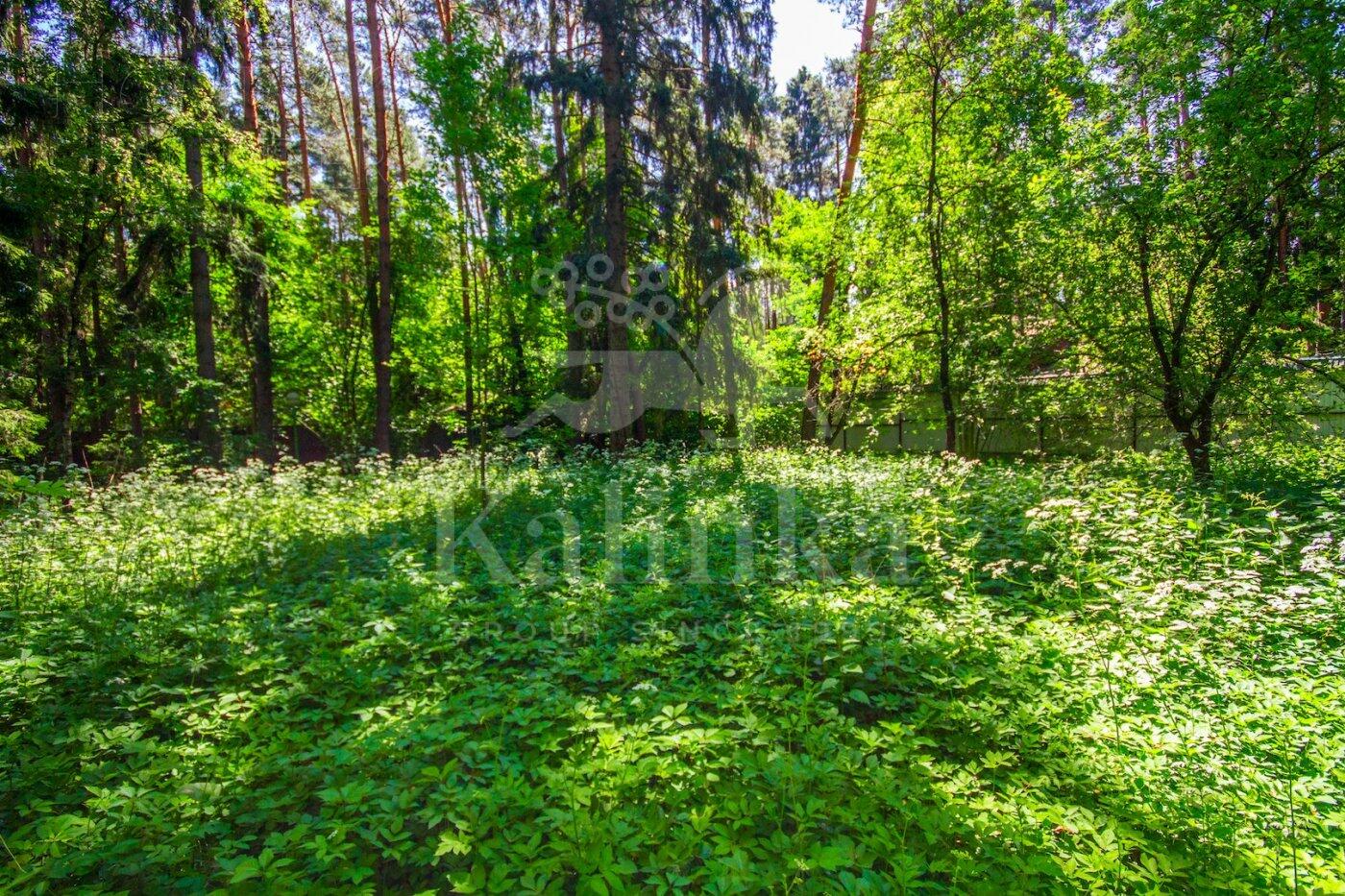 Участок 520 сот. в охраняемом поселке