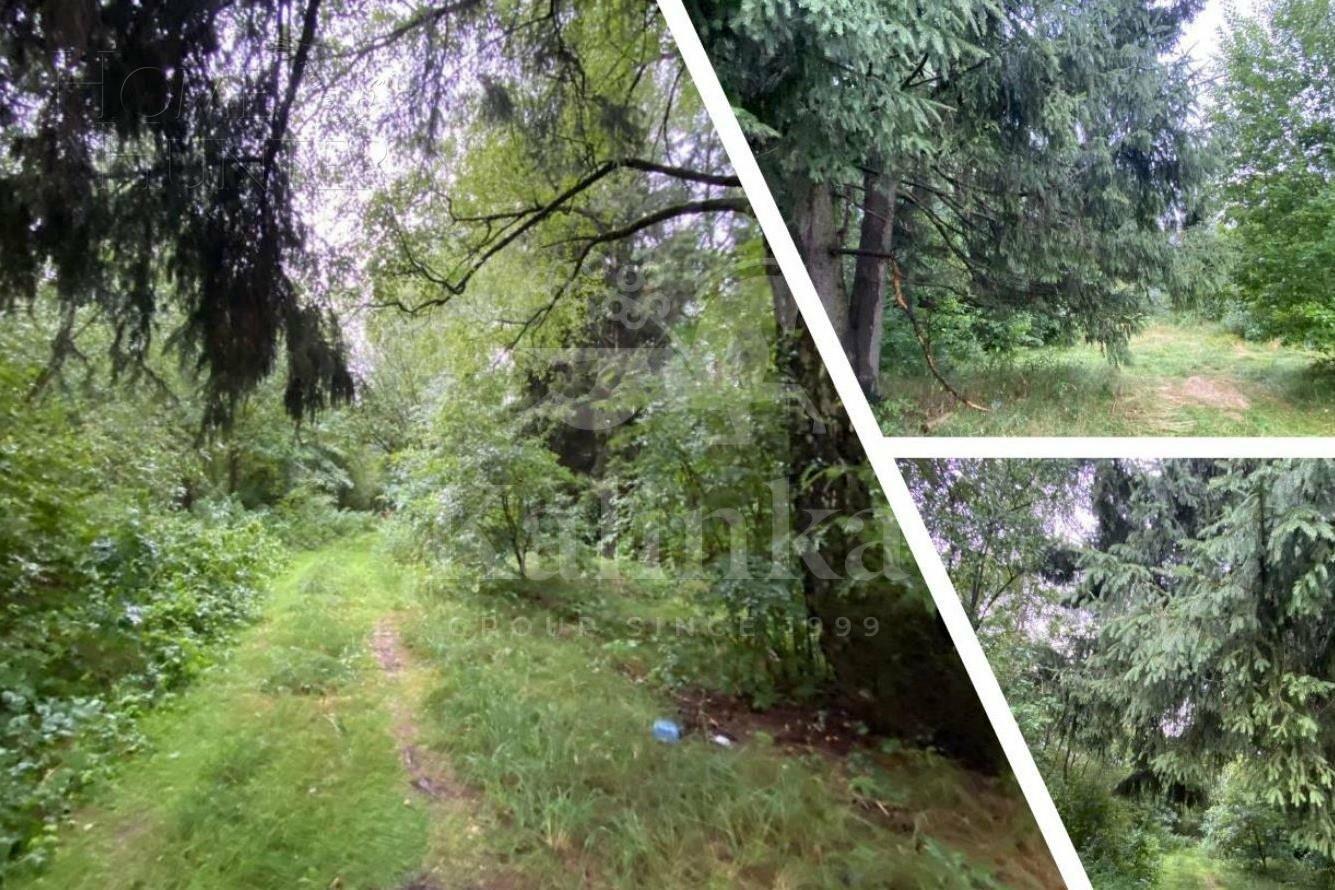 Участок 500 сот.