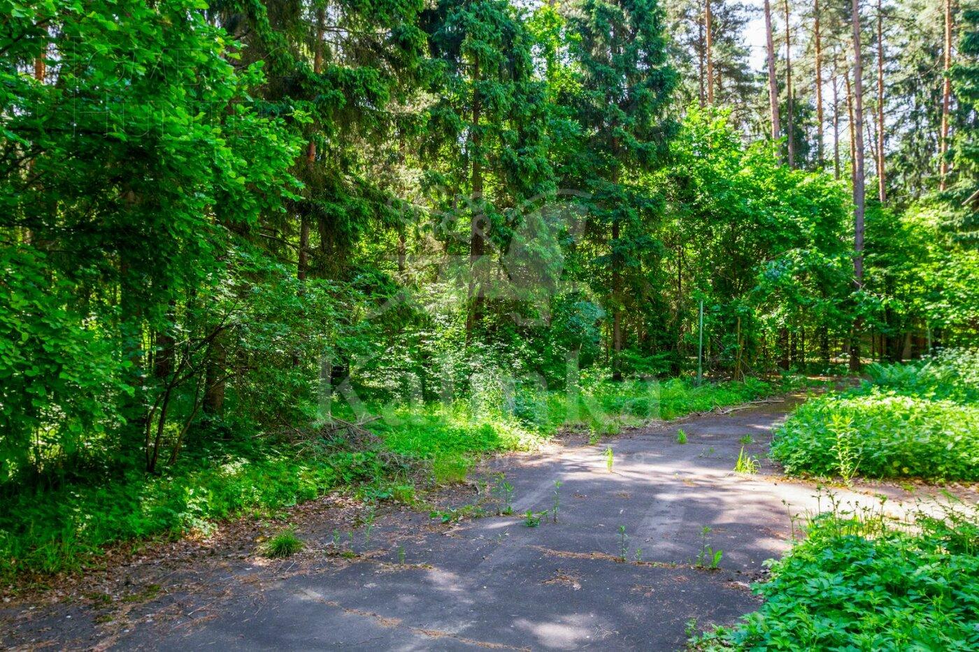 Участок 520 сот. в охраняемом поселке