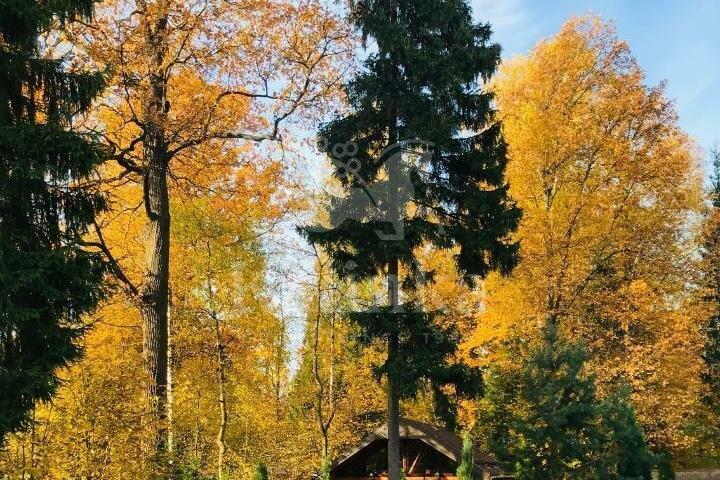 3-этажный коттедж 400 м² с отделкой