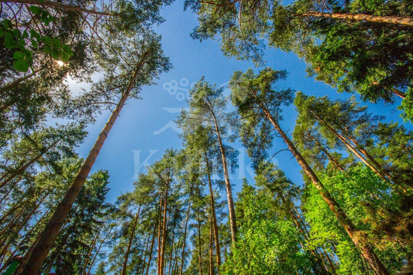 Участок 520 сот. в охраняемом поселке