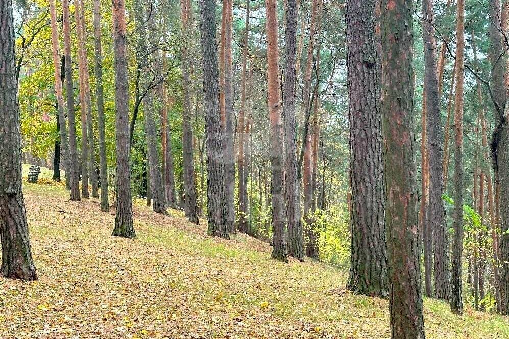 Участок 60 сот. в охраняемом поселке