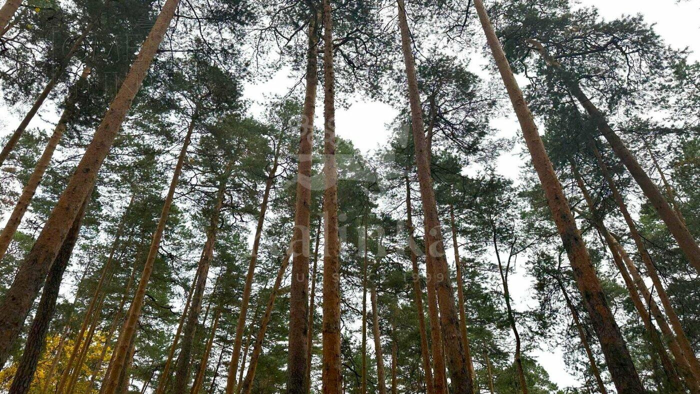 Участок 60 сот. в охраняемом поселке