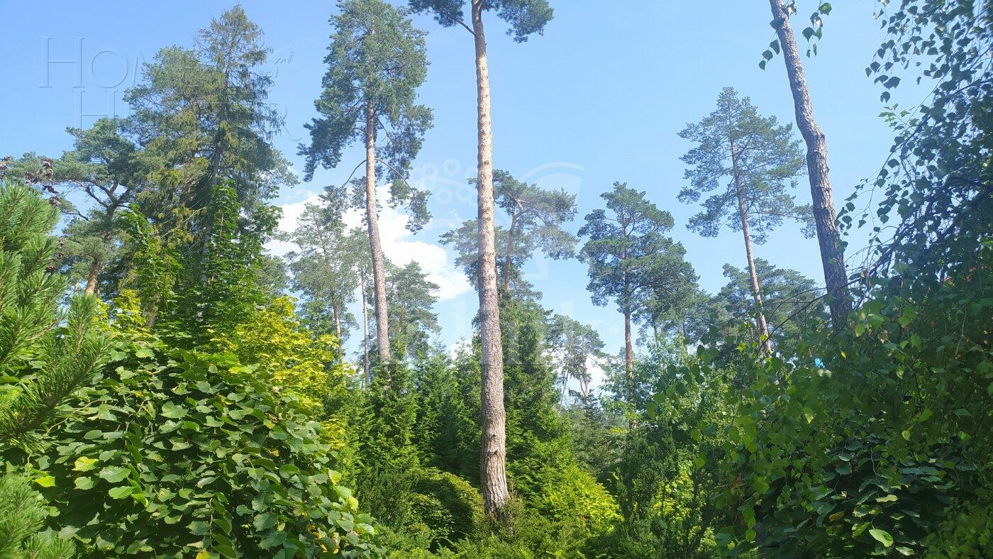 Участок 30 сот. в охраняемом поселке