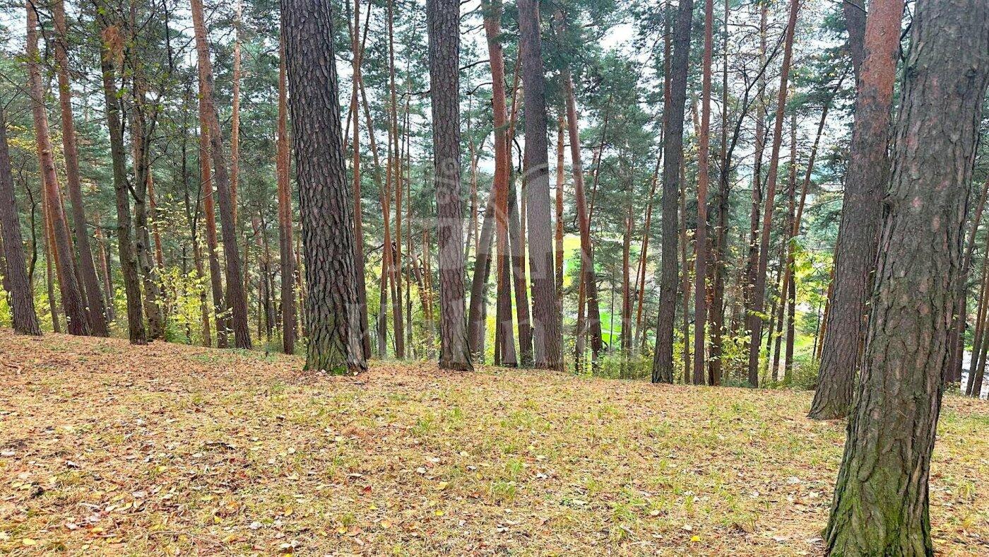 Участок 60 сот. в охраняемом поселке