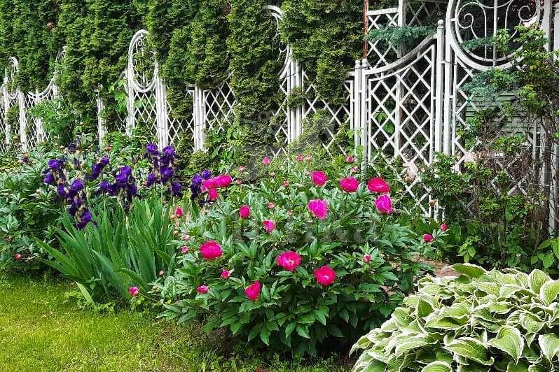 2-этажный коттедж 1 322 м² без отделки