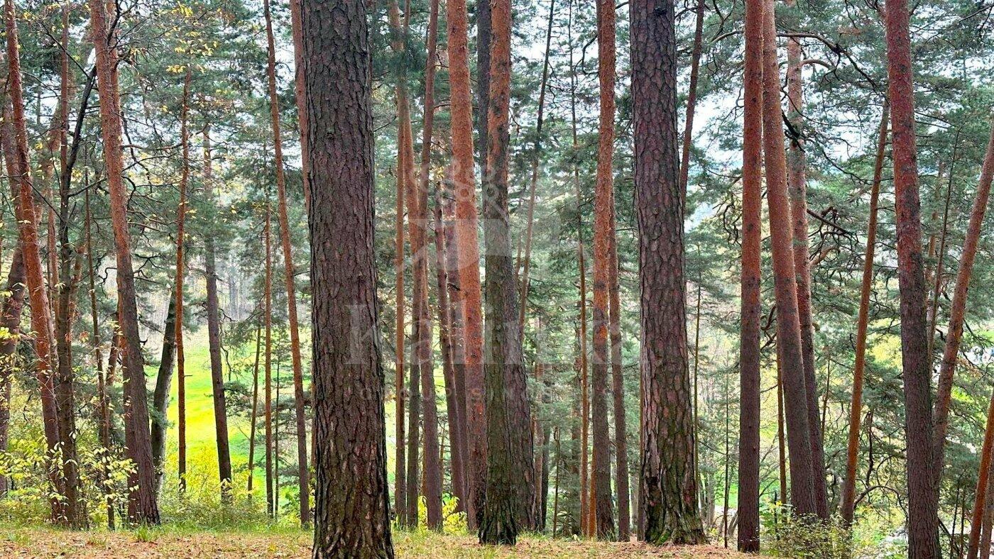 Участок 60 сот. в охраняемом поселке