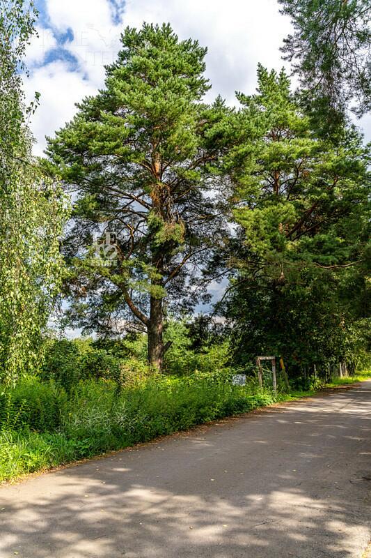 Участок 86.94 сот.