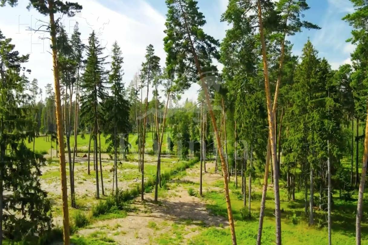 3-этажный коттедж 1 848 м² с отделкой