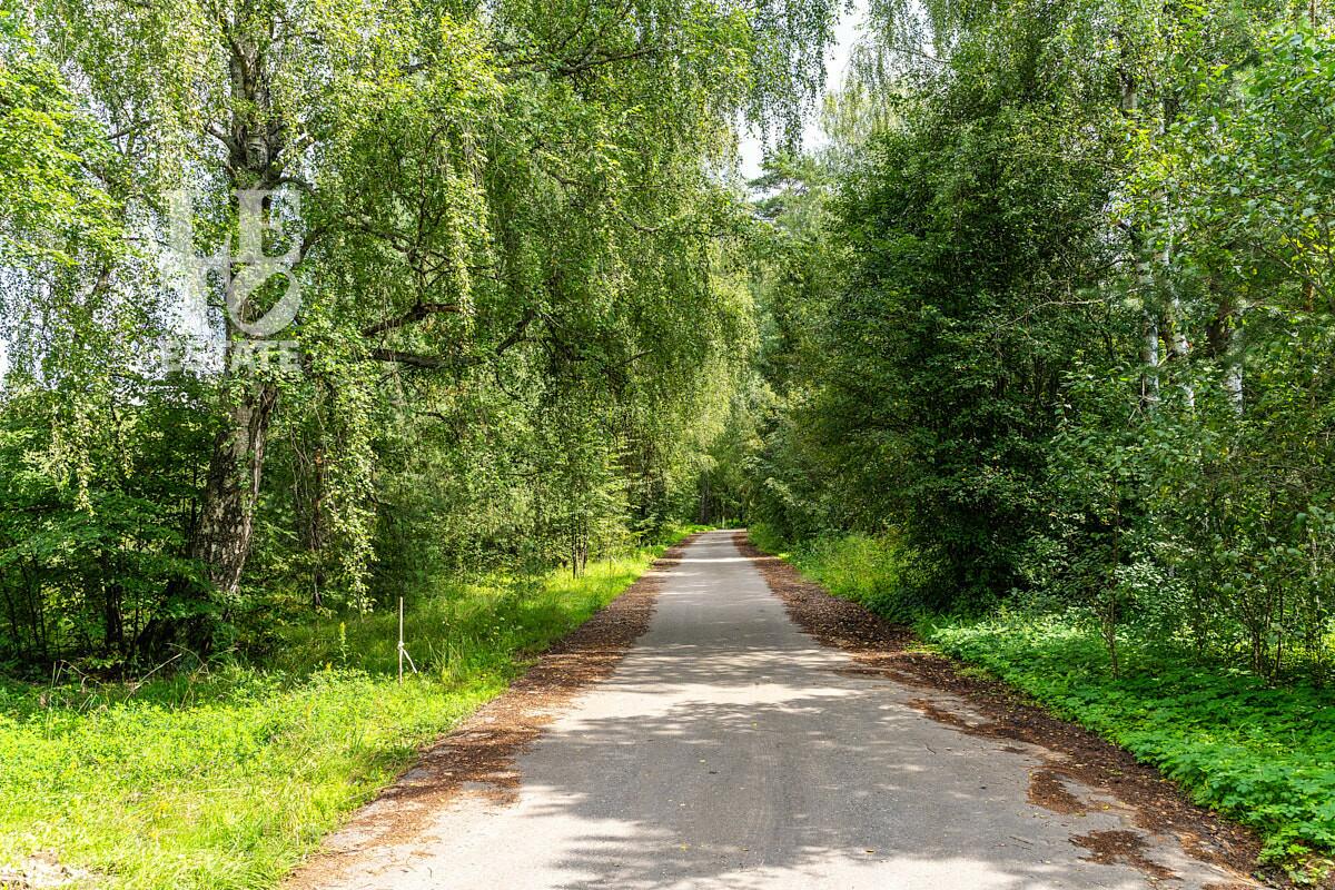 Участок 81.84 сот.