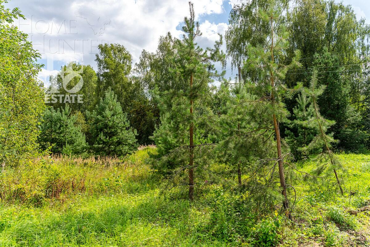 Участок 71.24 сот.