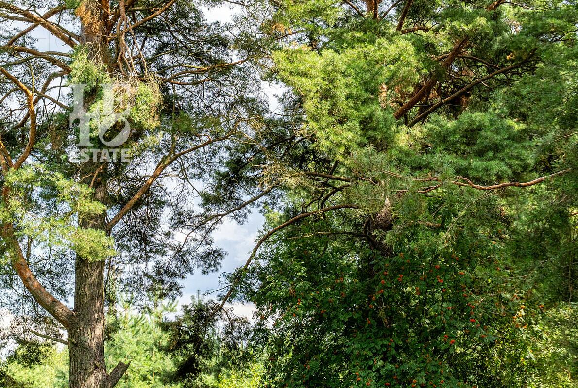 Участок 65.37 сот.