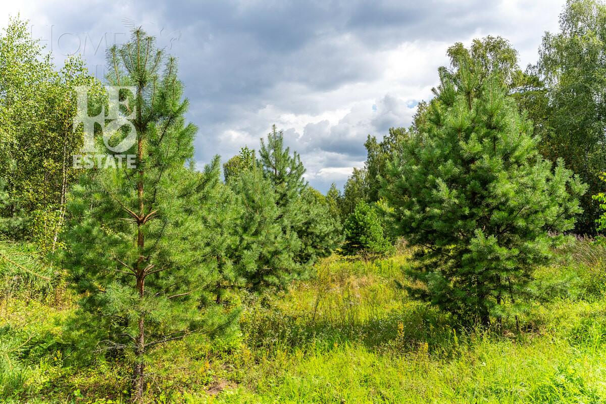 Участок 60.86 сот.