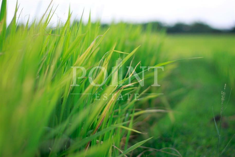 Участок 75.39 сот. в охраняемом поселке