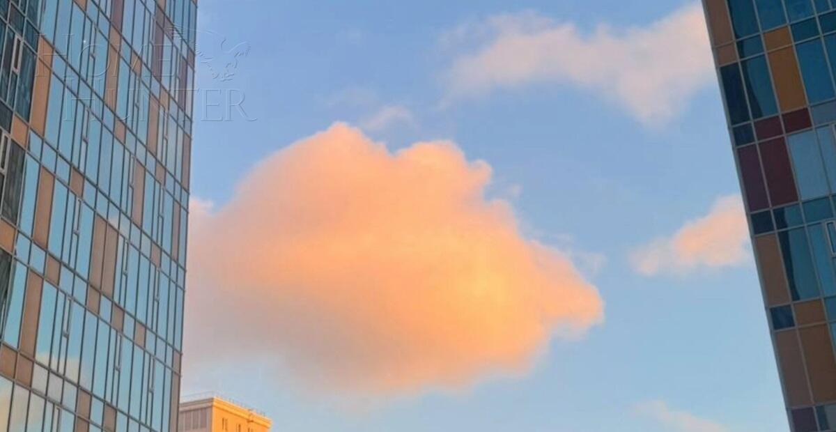 2-КОМН. КВАРТИРА С ОТДЕЛКОЙ 57 М² НА 8 ЭТАЖЕ