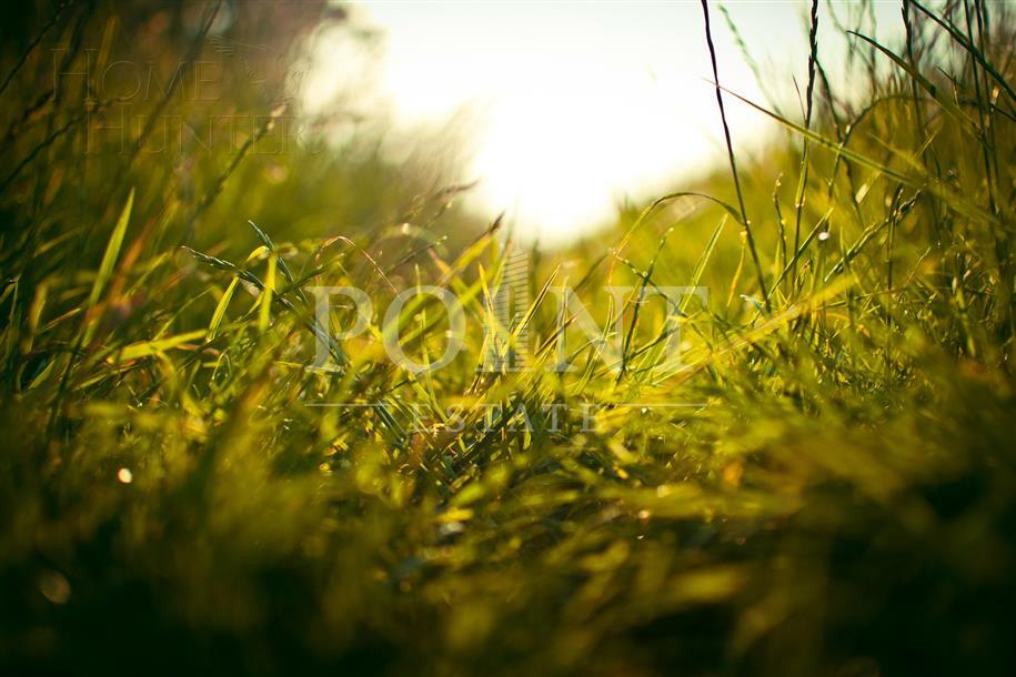 Участок 75.39 сот. в охраняемом поселке