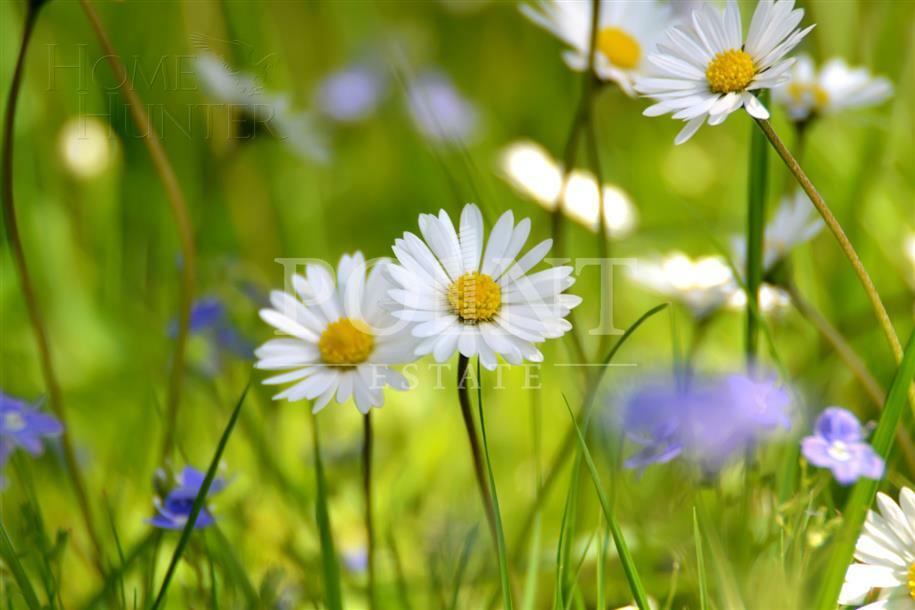 Участок 580 сот. в охраняемом поселке