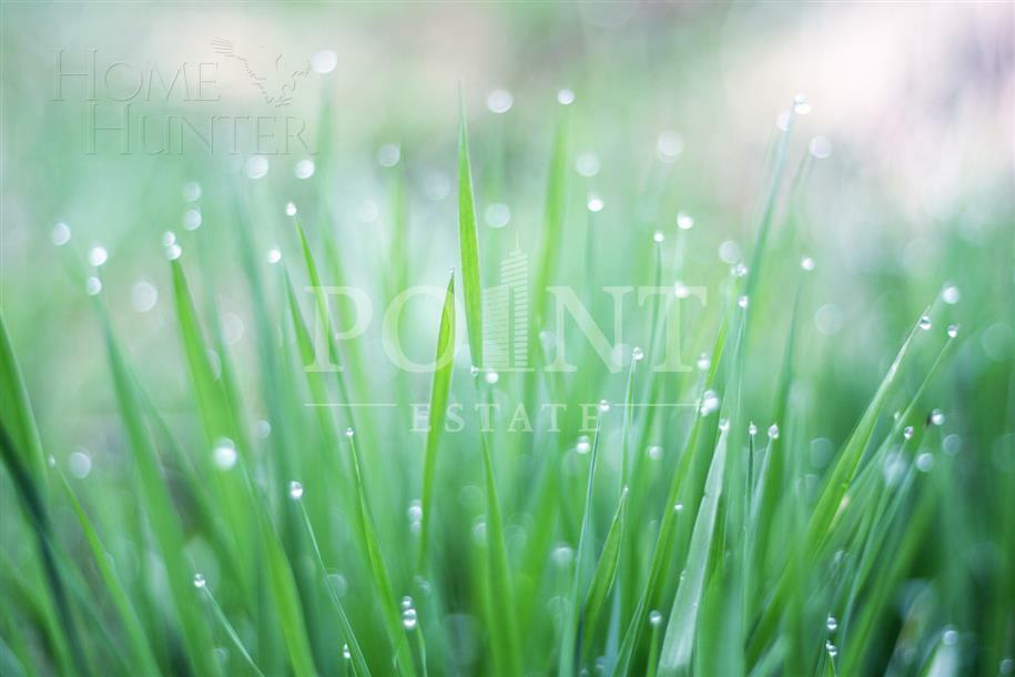 Участок 1 120 сот.