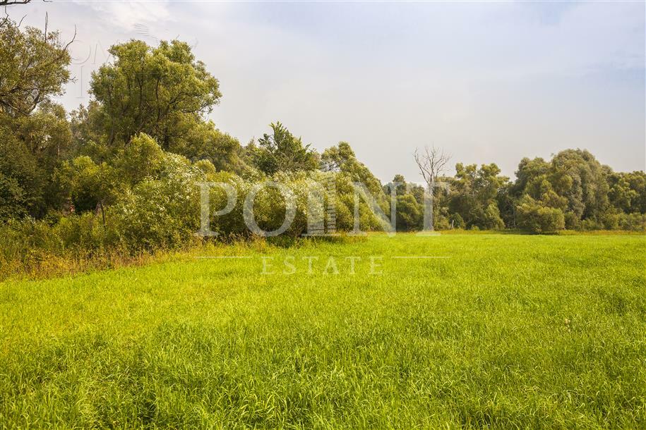 Участок 433 сот. в охраняемом поселке