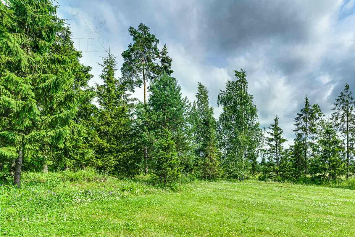 Участок 161.71 сот. в охраняемом поселке