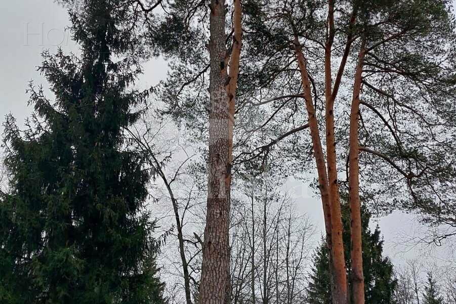 Участок 32.16 сот.