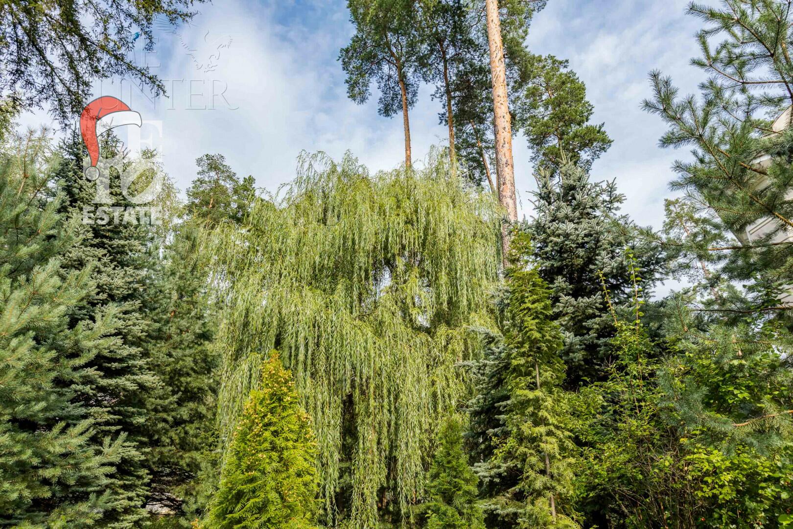 2-этажный коттедж 800 м² с отделкой