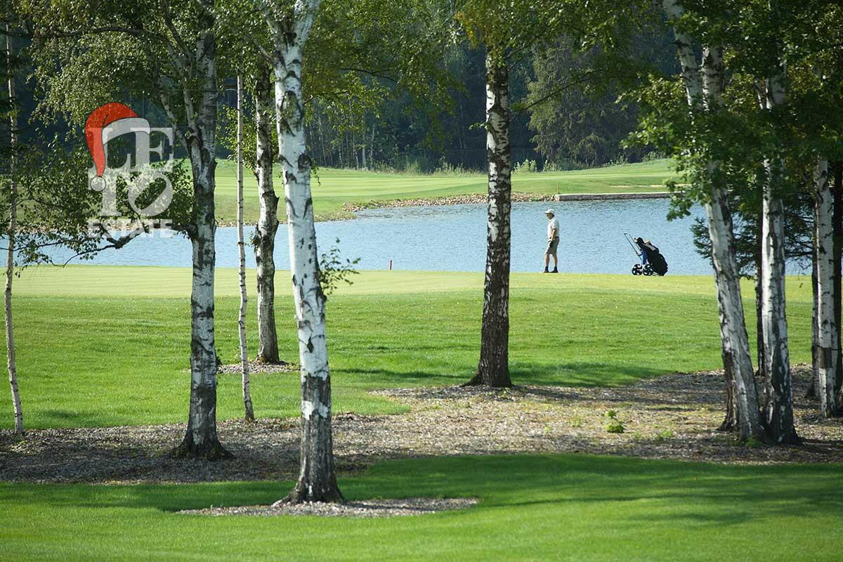 Участок 47.5 сот. в охраняемом поселке