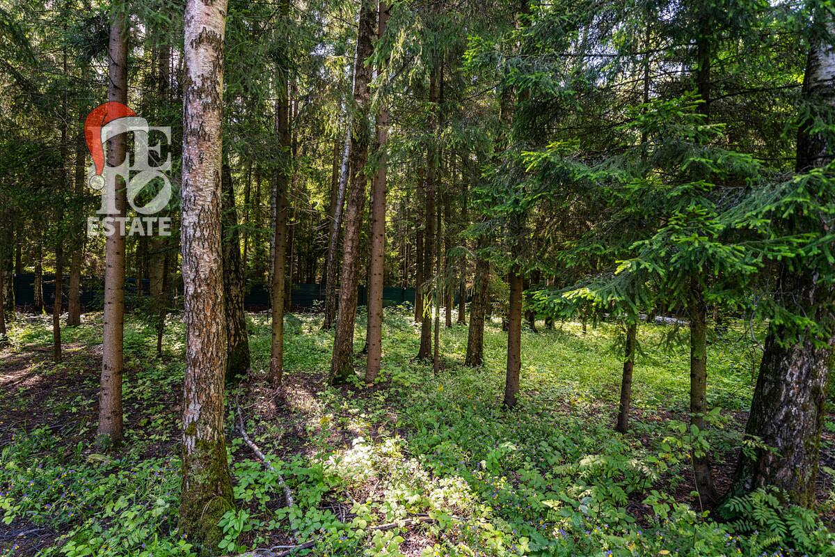 2-этажный коттедж 700 м² с отделкой