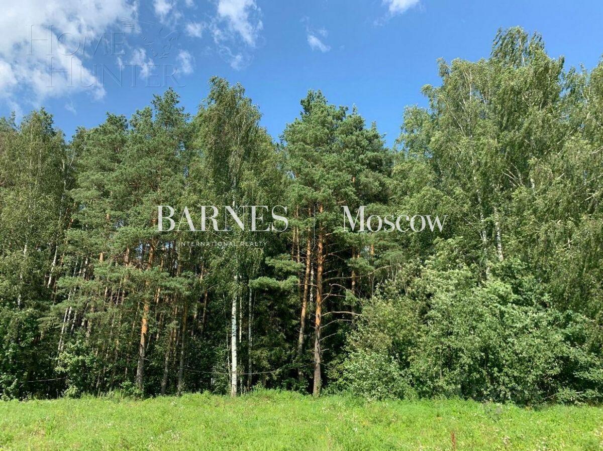 Участок 145 сот.