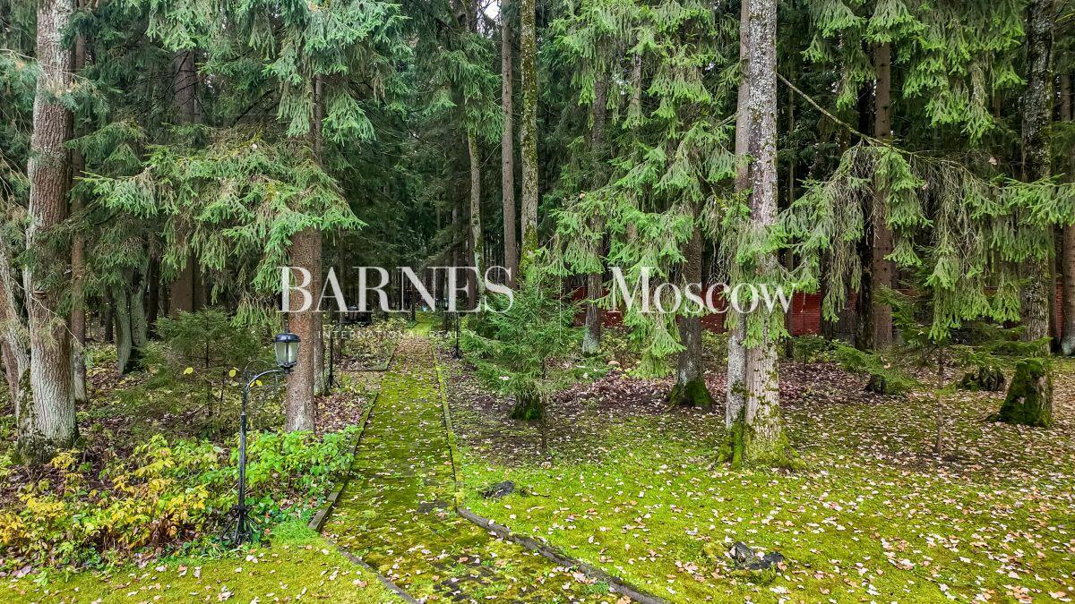 Участок 145 сот.