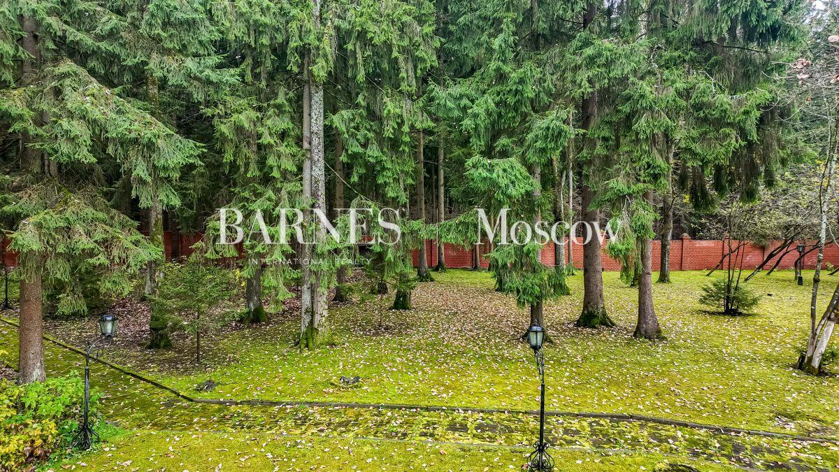 Участок 145 сот.