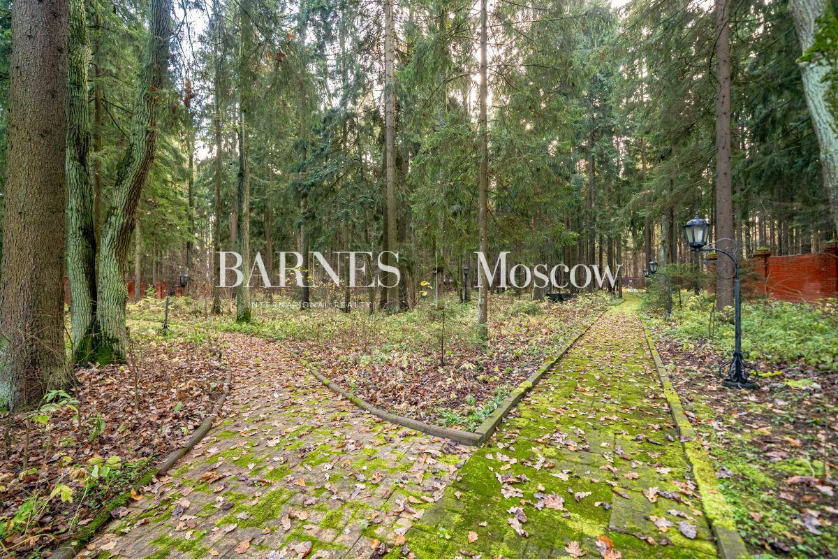 Участок 145 сот.