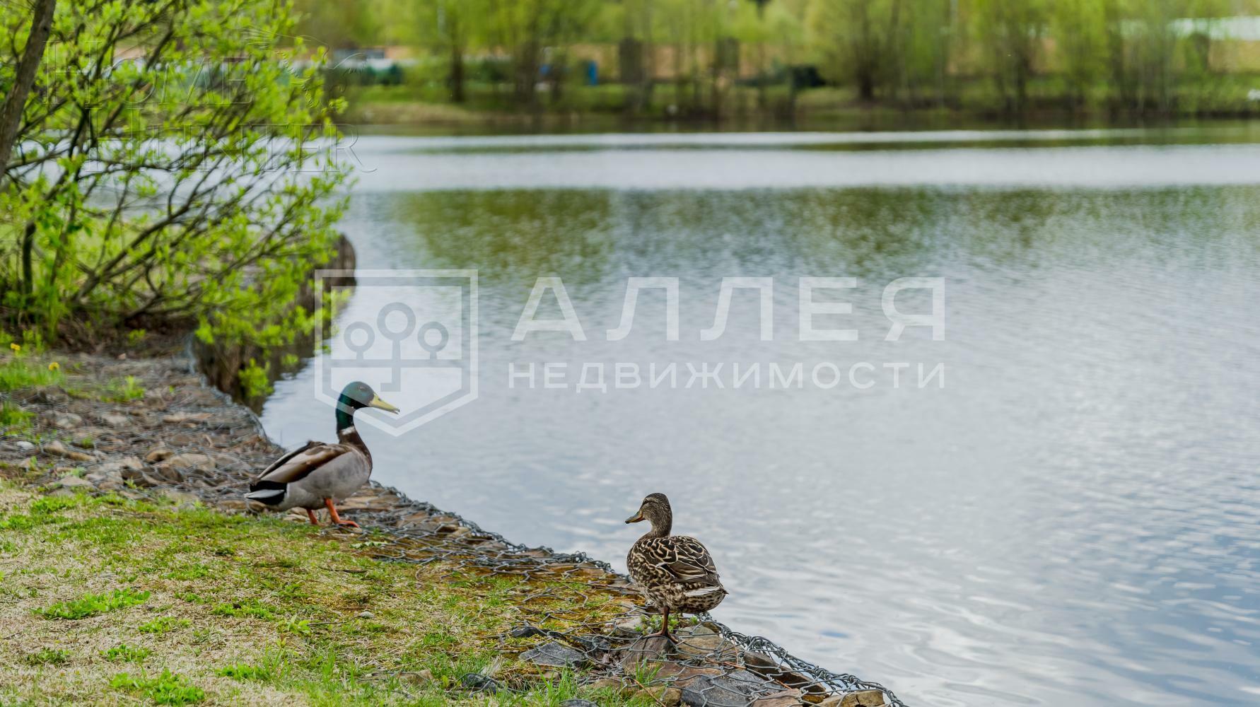 2-этажный коттедж 480 м² с отделкой