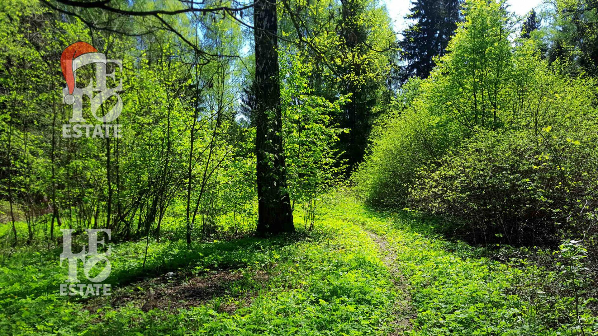 Участок 70.38 сот. в охраняемом поселке