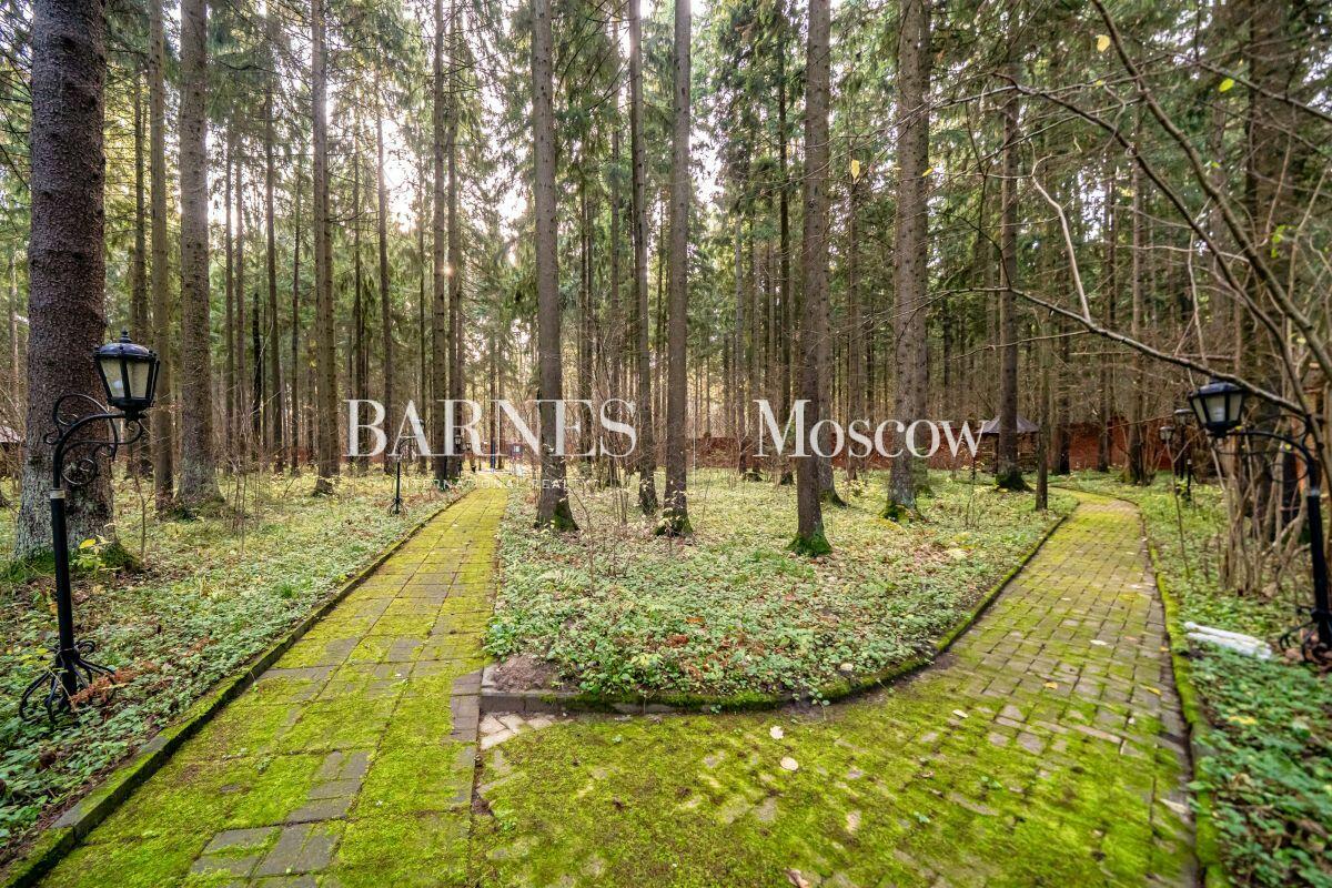 Участок 145 сот.