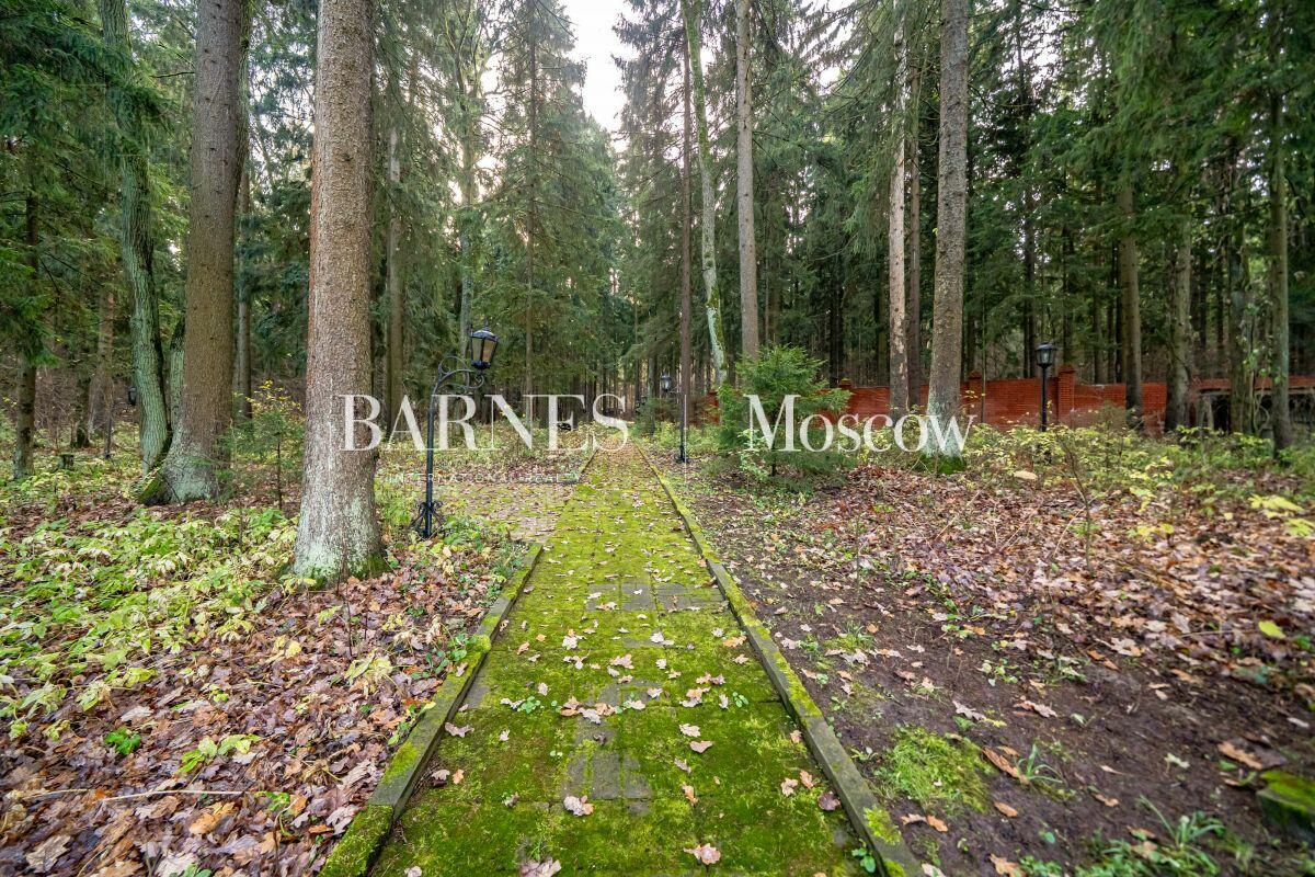 Участок 145 сот.