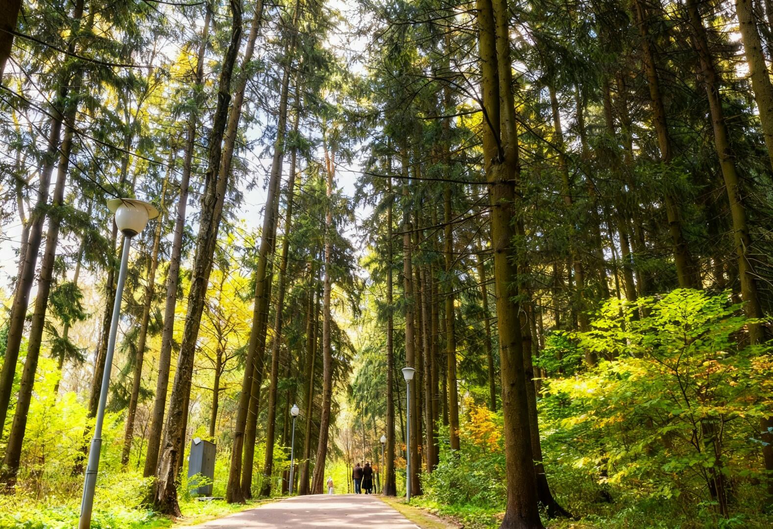 2-этажный коттедж 495 м² с отделкой