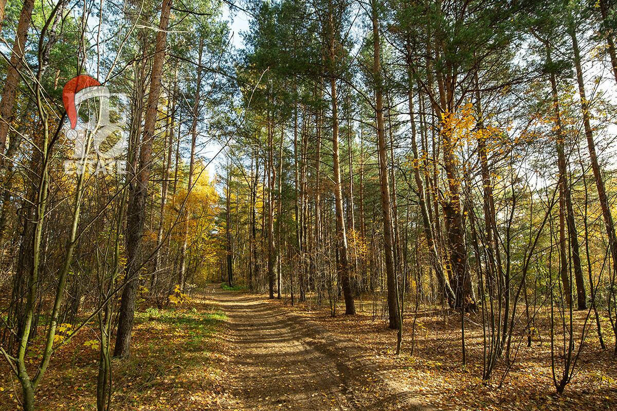 Участок 35 сот. в охраняемом поселке