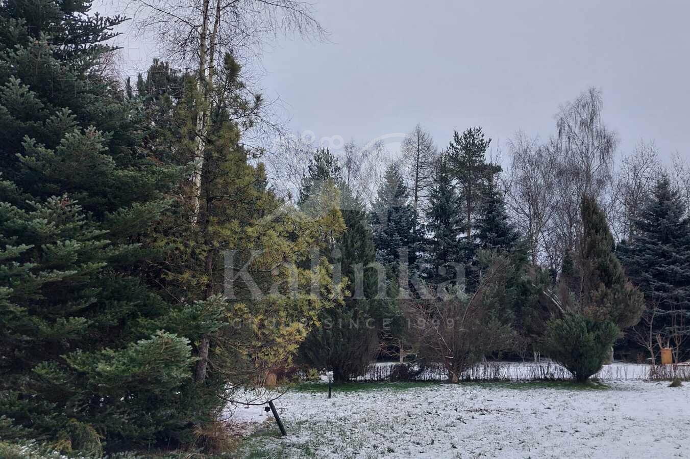 Участок 33.92 сот. в охраняемом поселке