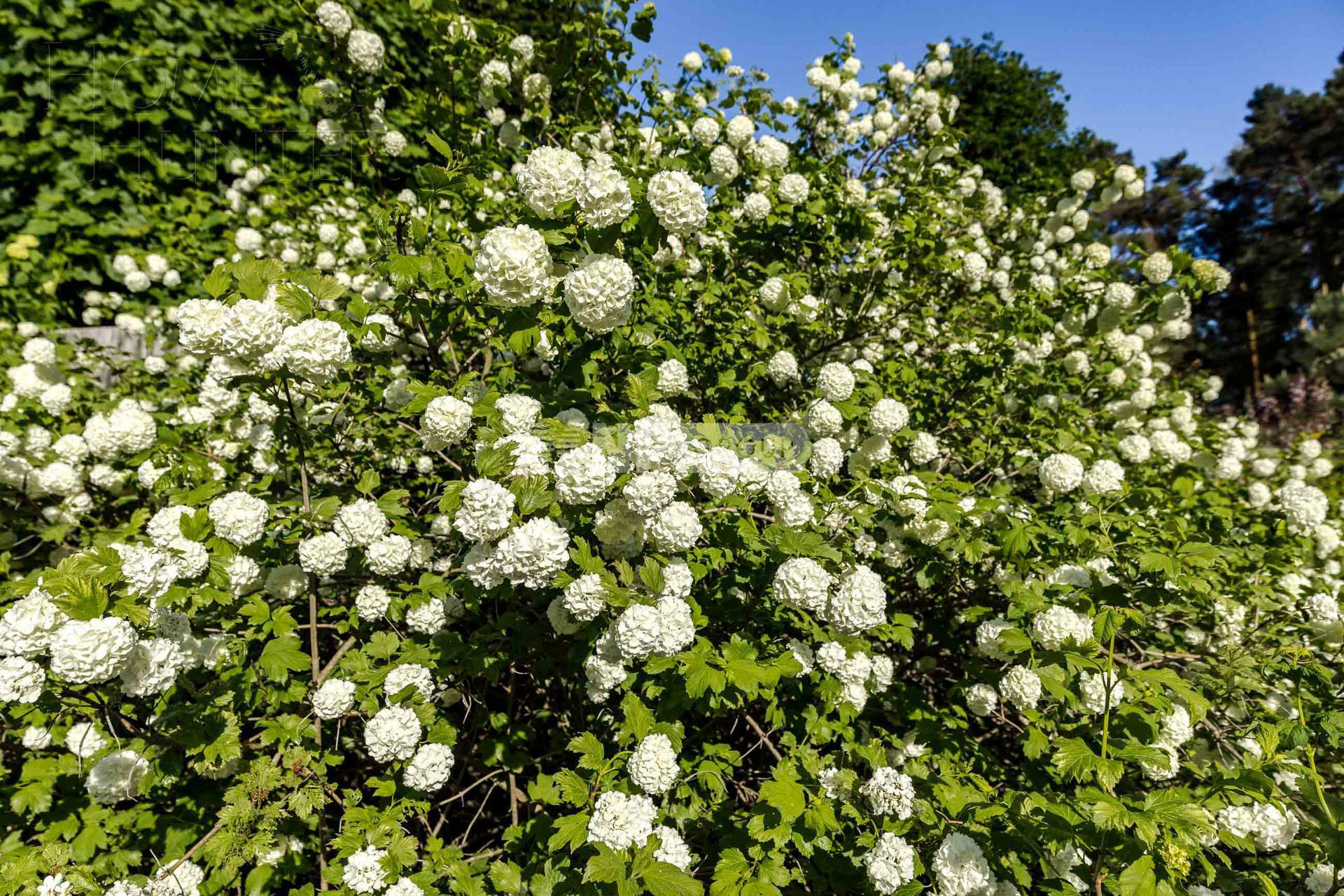 Участок 23 сот. в охраняемом поселке