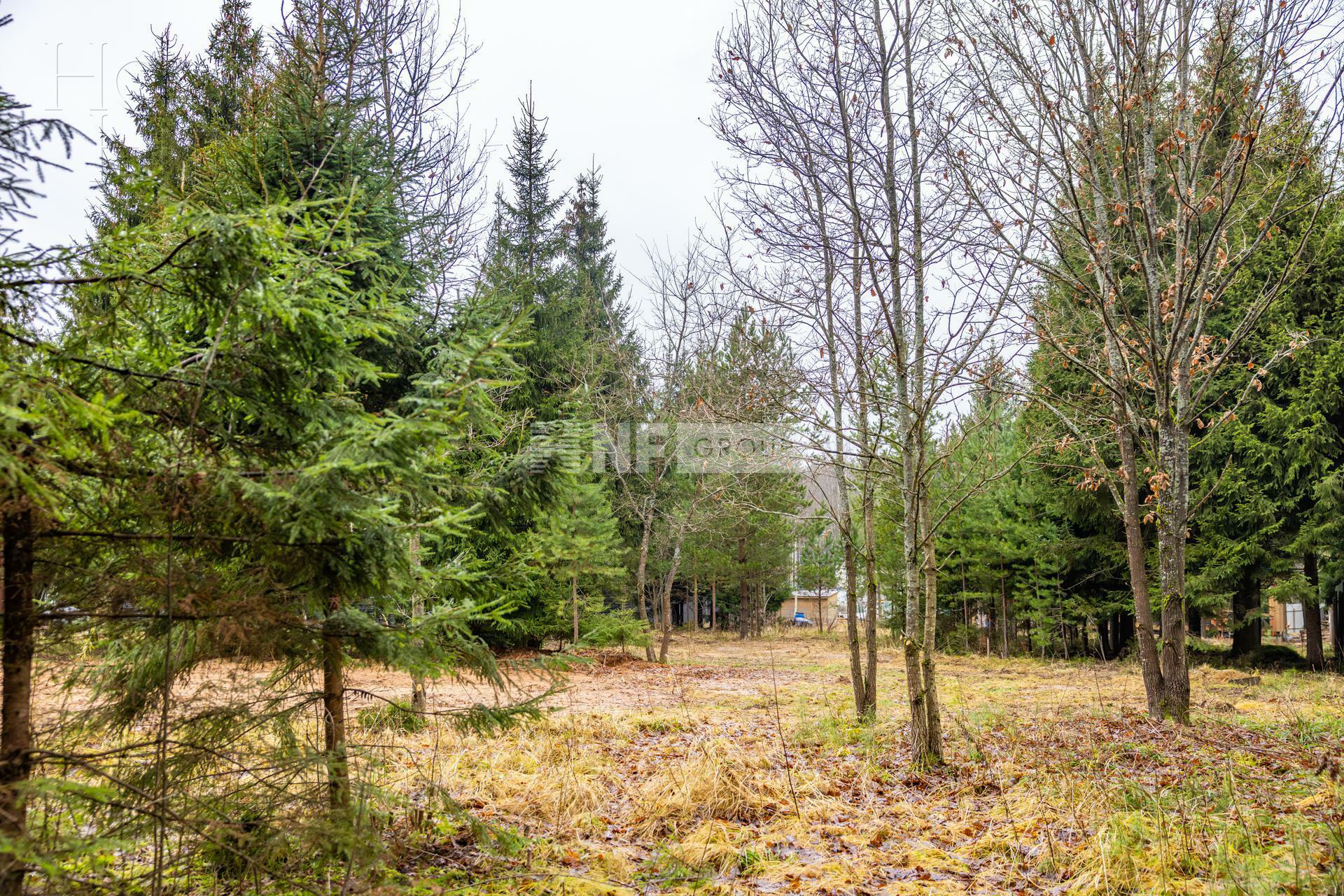 Участок 13 сот.