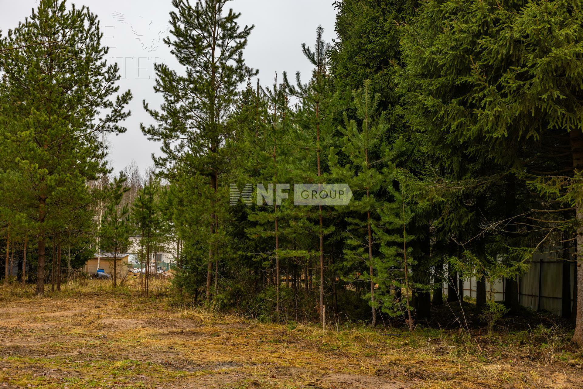 Участок 13 сот.