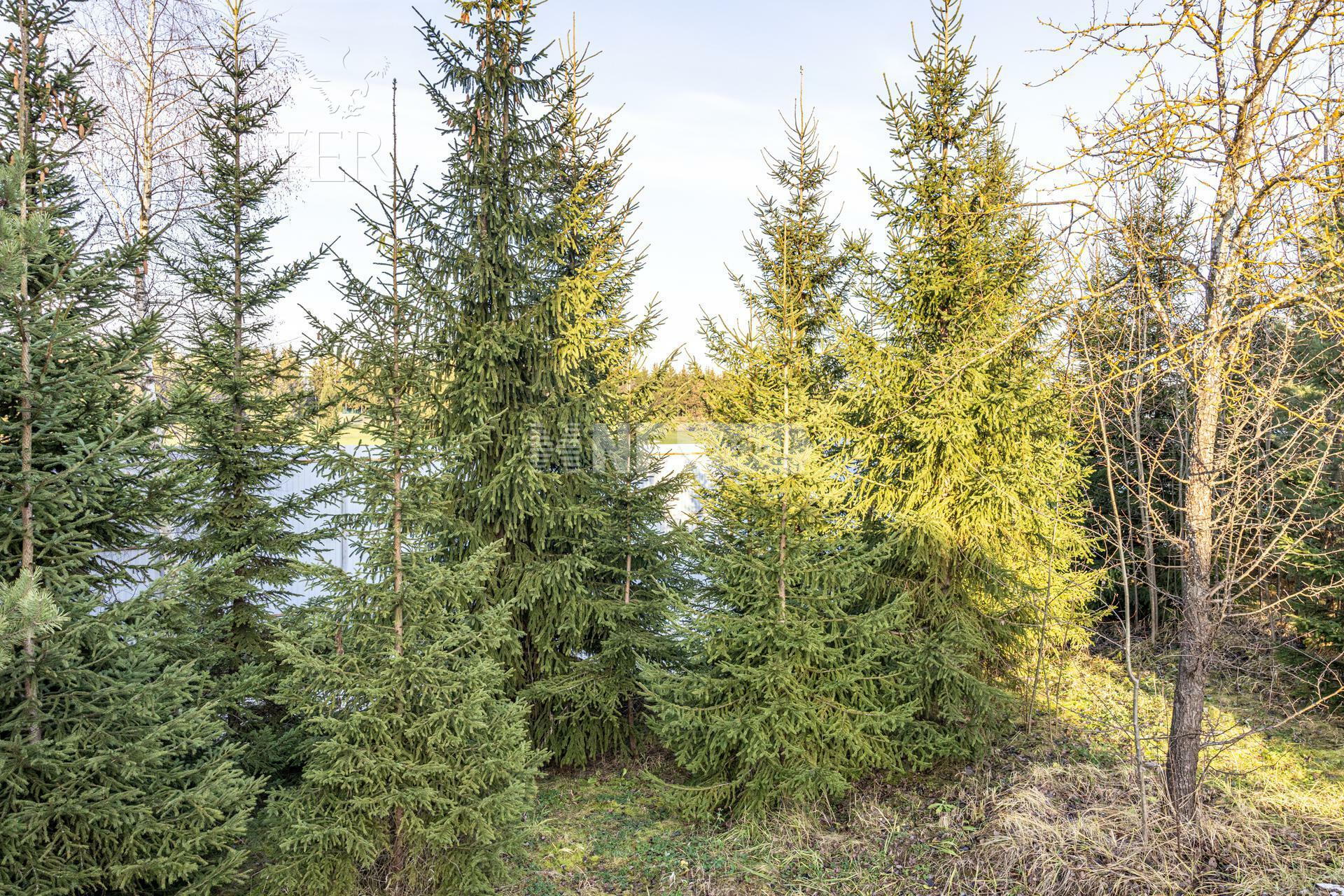 Участок 31 сот. в охраняемом поселке